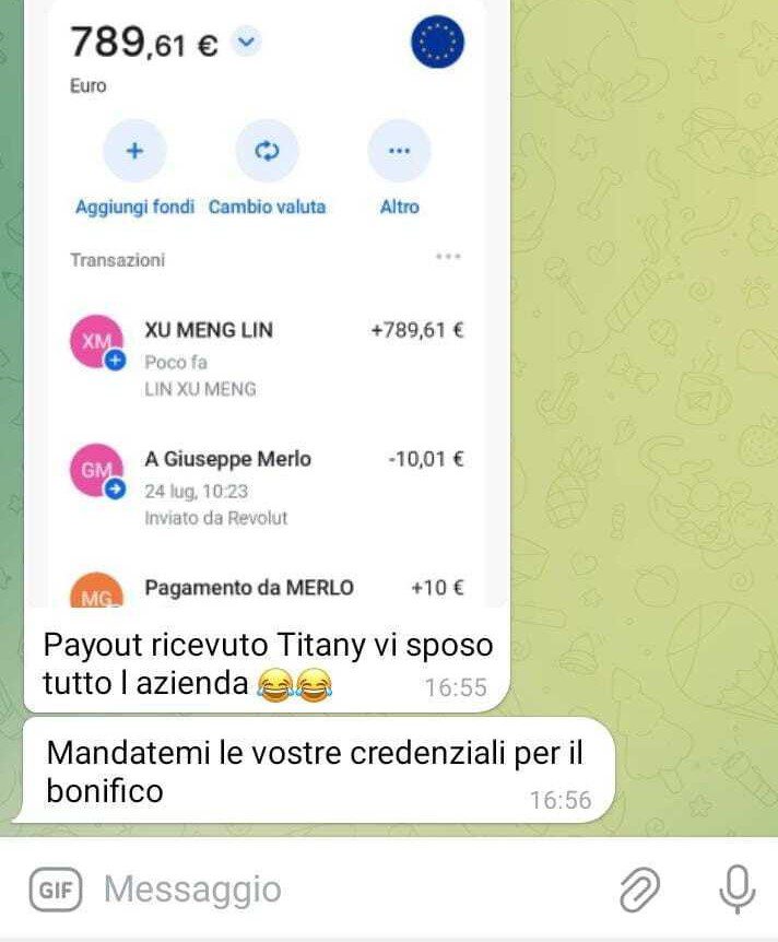 Immagine 1
